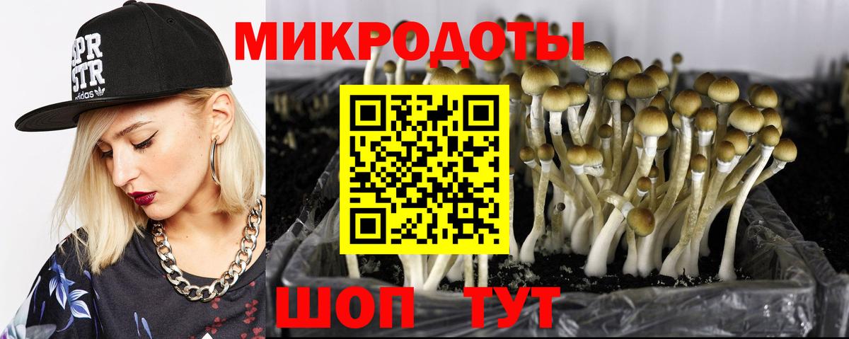 Галлюциногенные грибы мухоморы  Вход с VPN  Сланцы  Галлюциногенные грибы Psilocybine cubensis 